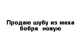 Продаю шубу из меха бобра  новую